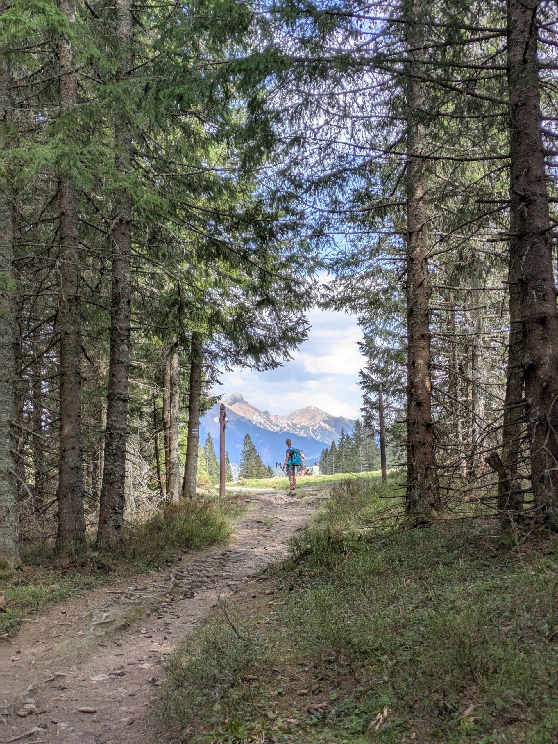 Hiking w górach